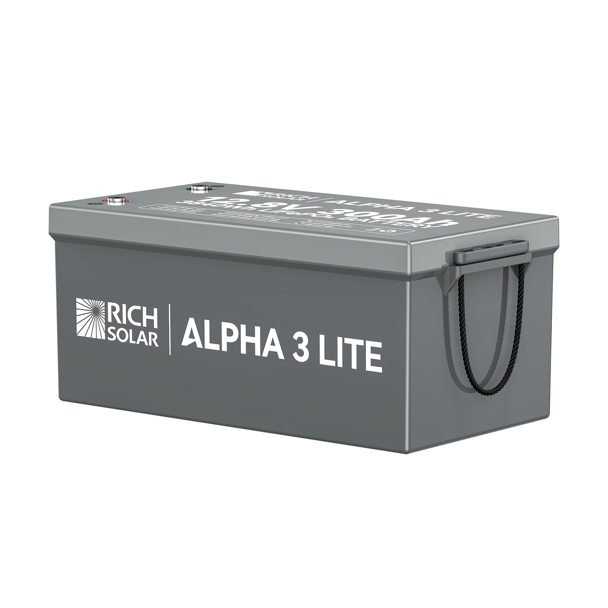ALPHA 3 LITE battery at an angle showing case depth and carry handles