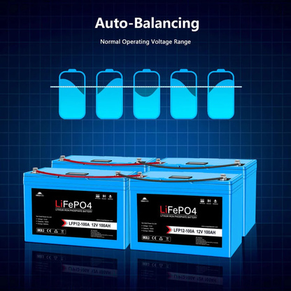 12V 100AH LiFePO4 Deep Cycle Lithium Battery - Bluetooth / Self-Heating / IP65